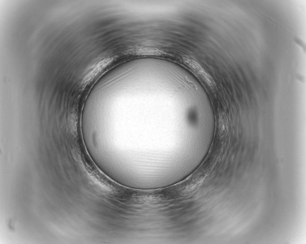 X0000093730533200710301046