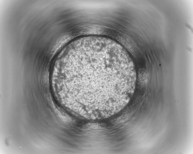 X0000093730534200710301046