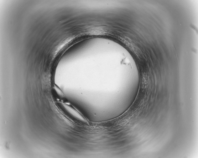 X0000093730535200710301046