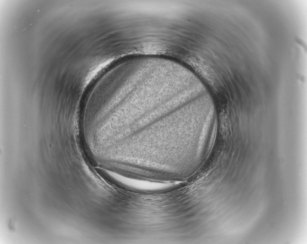 X0000093730536200710301046