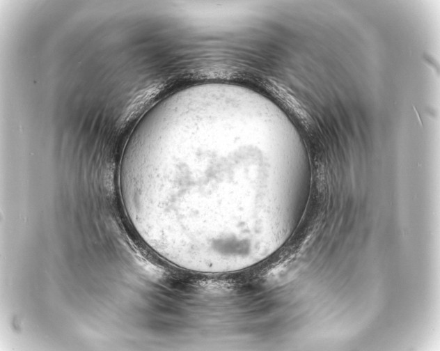 X0000093730537200710301046