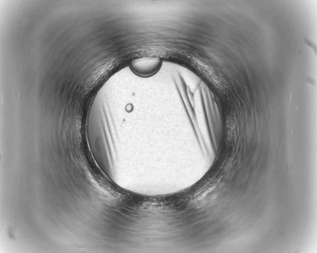 X0000093730538200710301046