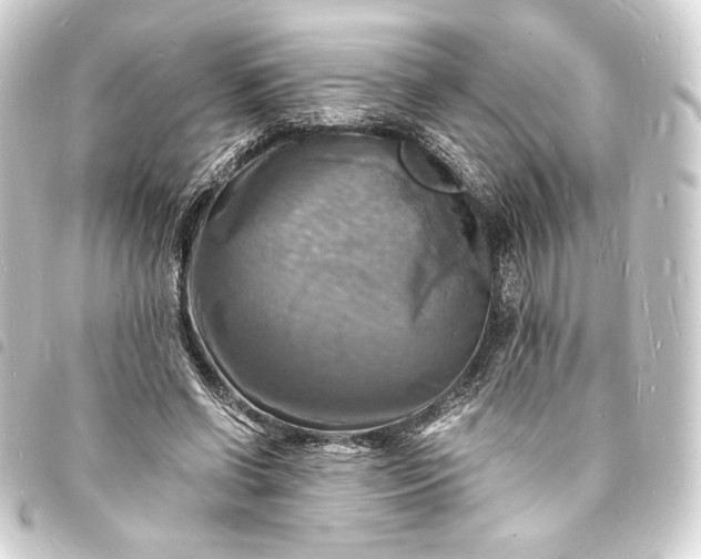 X0000093730542200710301046