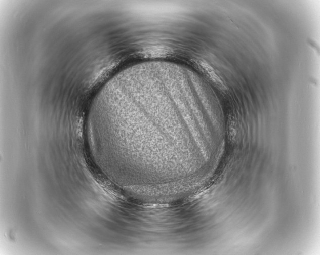 X0000093730543200710301046