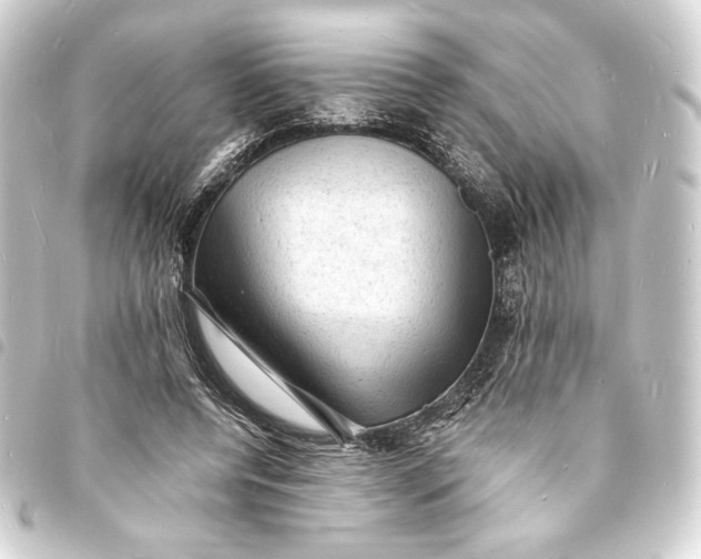 X0000093730544200710301046