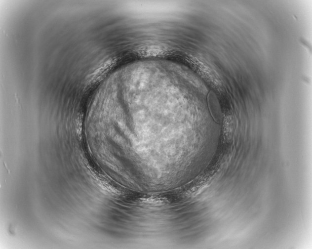 X0000093730545200710301046