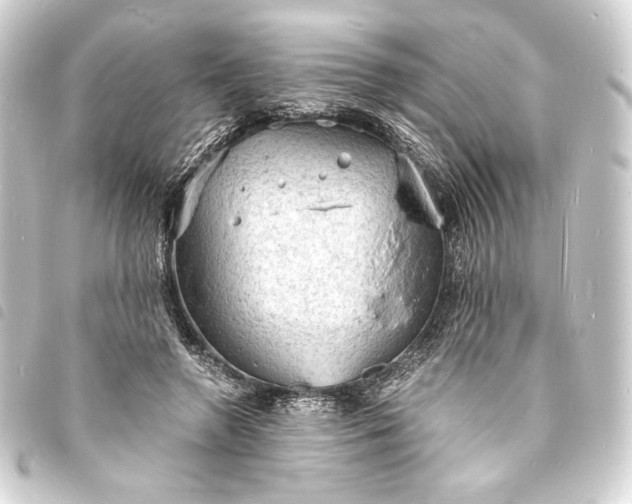 X0000093730546200710301046