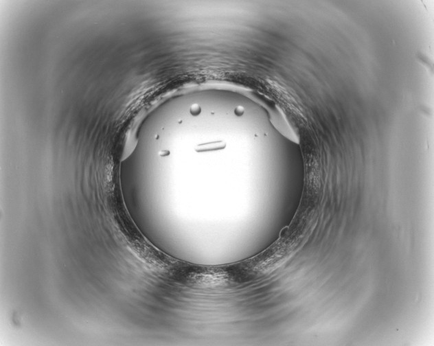 X0000093730548200710301046