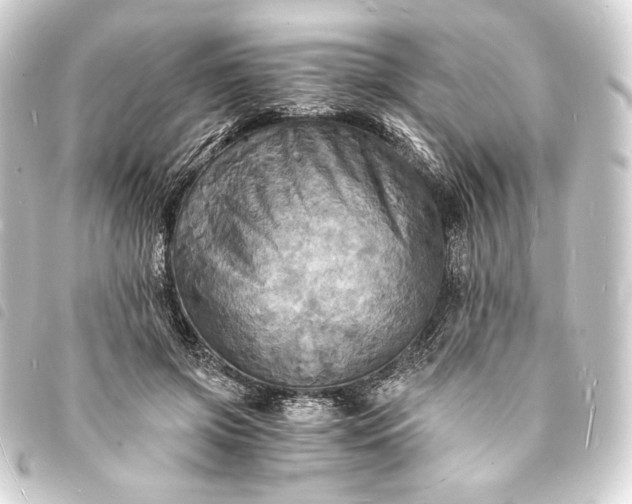 X0000093730549200710301046