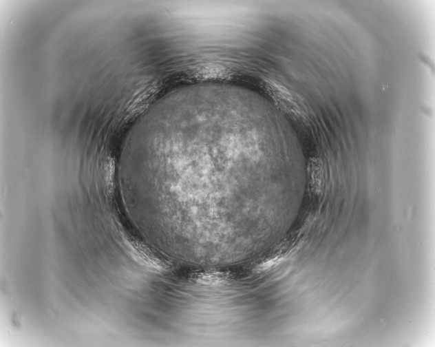 X0000093730550200710301046