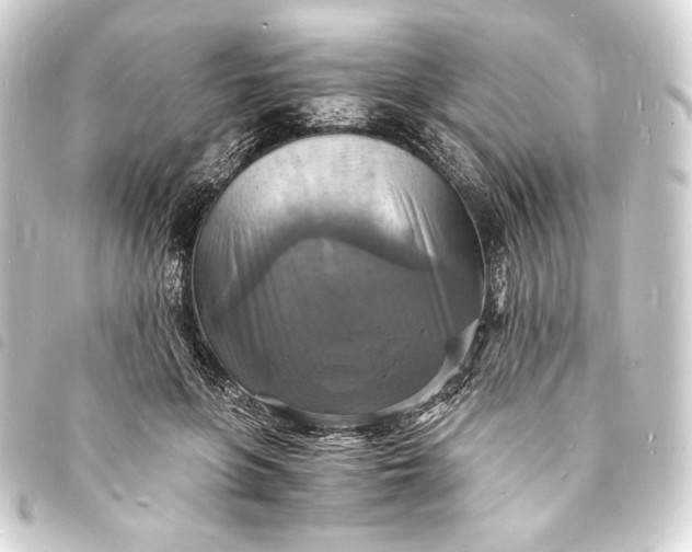 X0000093730551200710301046