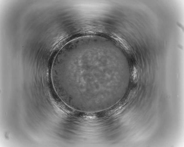 X0000093730552200710301046