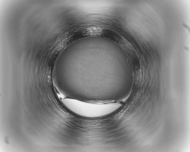 X0000093730553200710301046