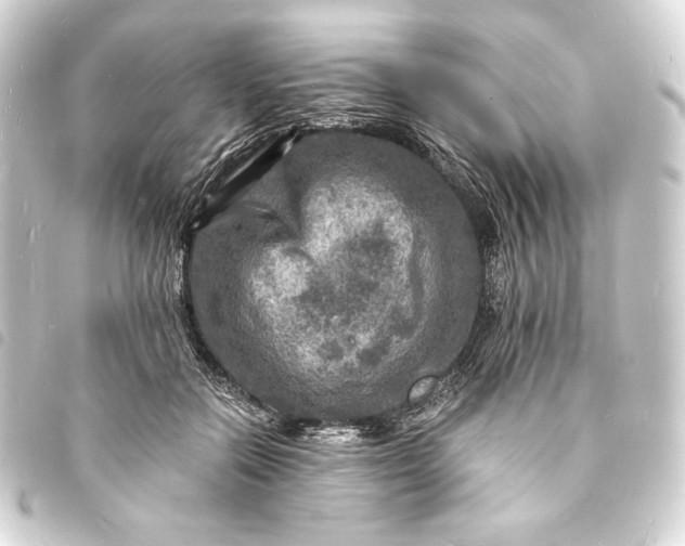 X0000093730554200710301046