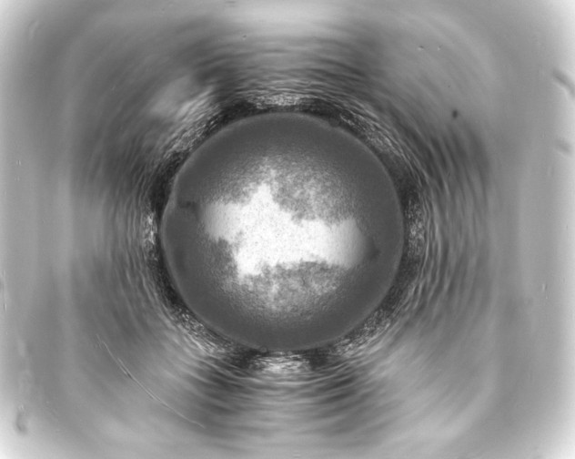 X0000093730555200710301046