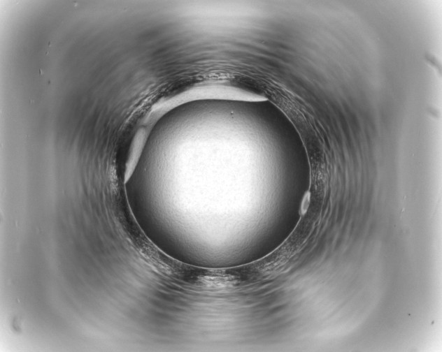 X0000093730556200710301046