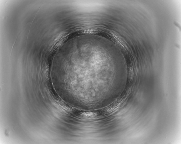 X0000093730557200710301046