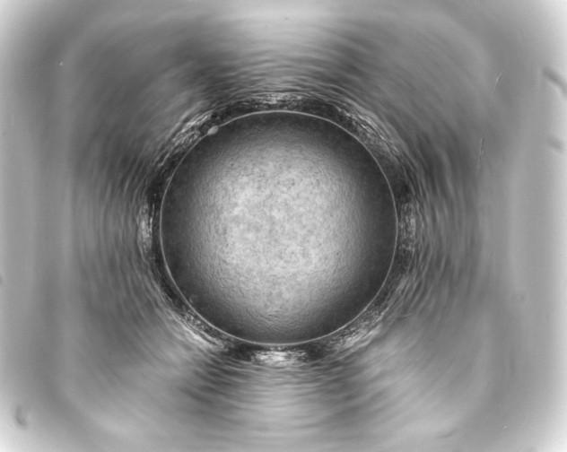 X0000093730558200710301046