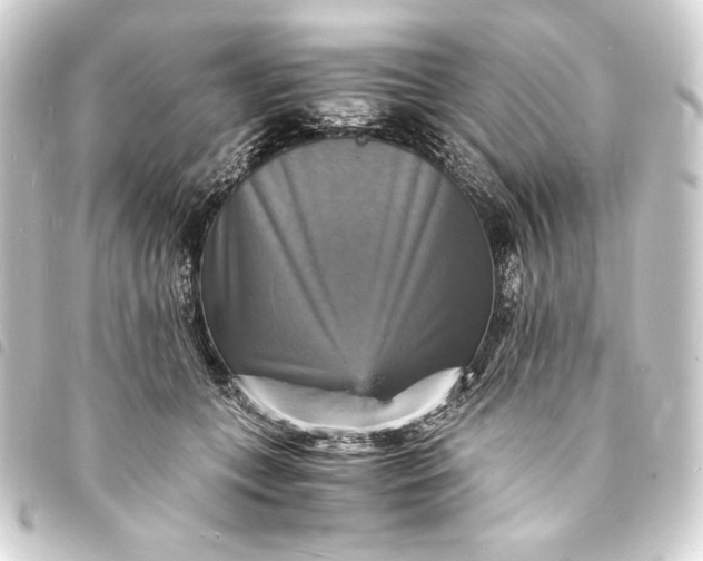 X0000093730559200710301046