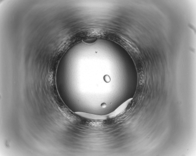 X0000093730560200710301046