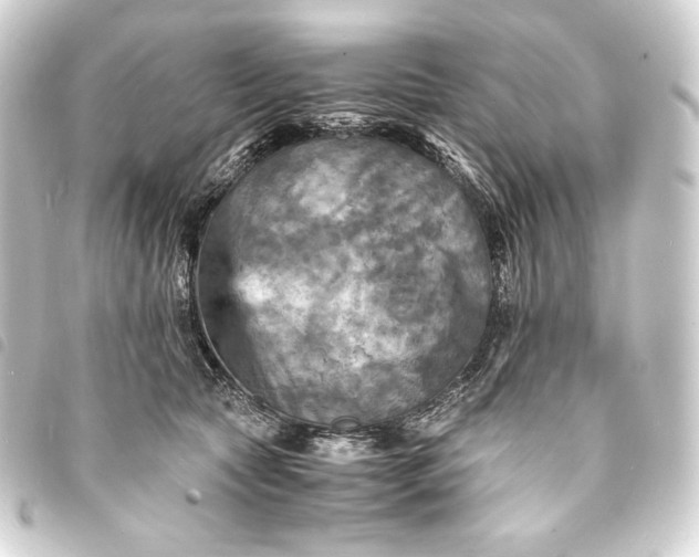 X0000093730561200710301046