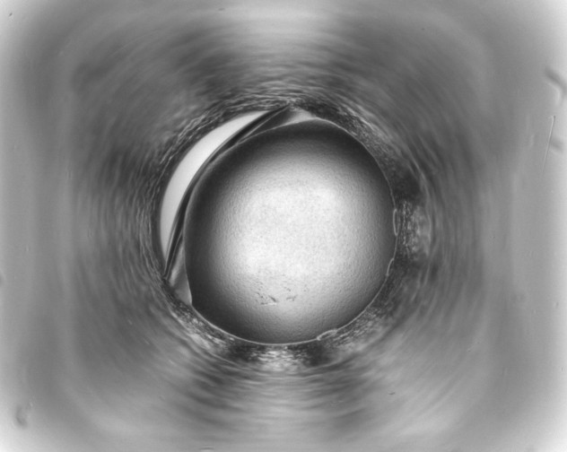 X0000093730562200710301046