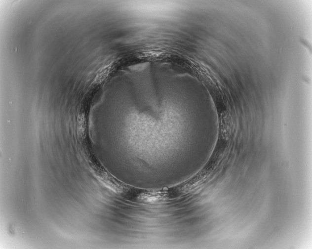 X0000093730563200710301046