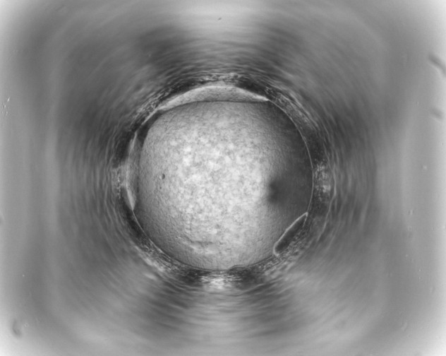 X0000093730564200710301046