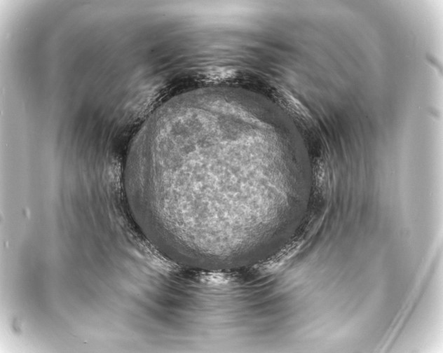 X0000093730565200710301046