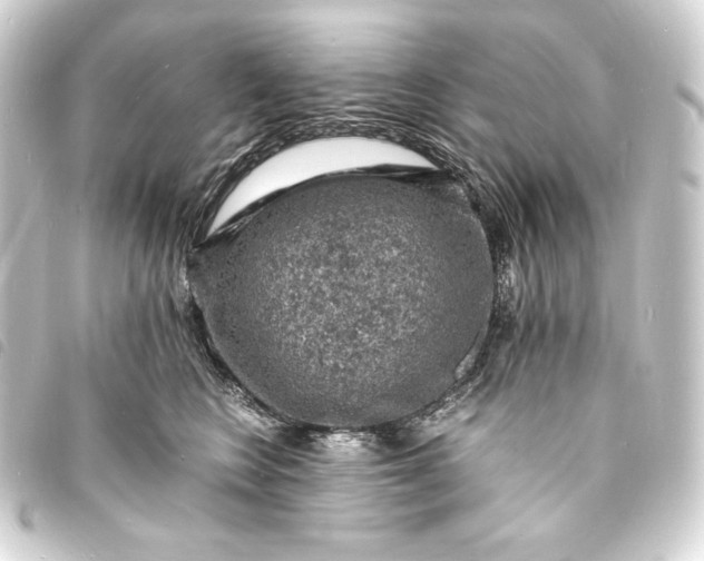 X0000093730566200710301046