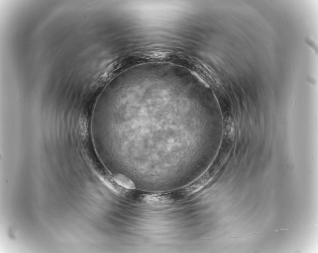 X0000093730568200710301046