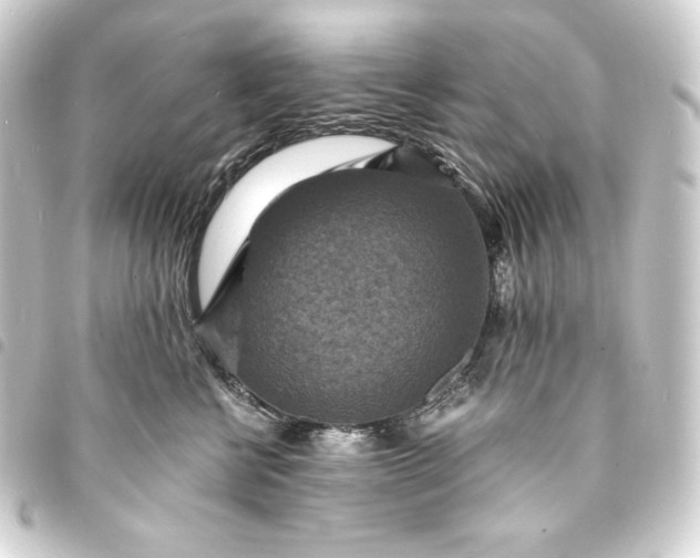 X0000093730570200710301046