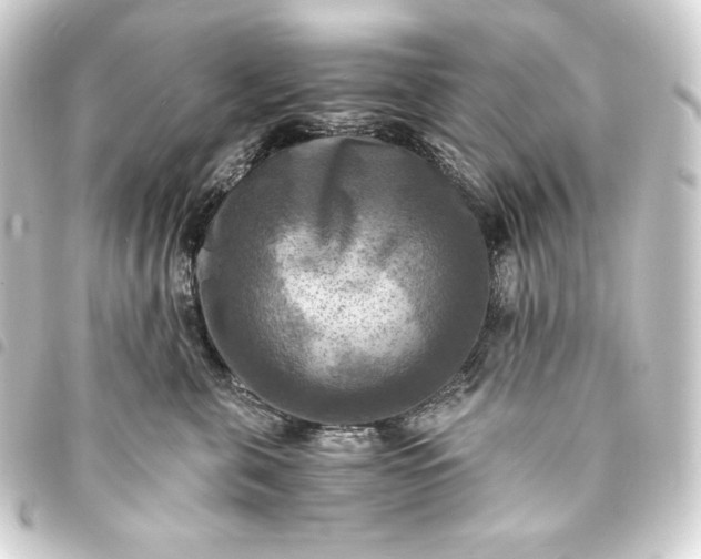 X0000093730571200710301046