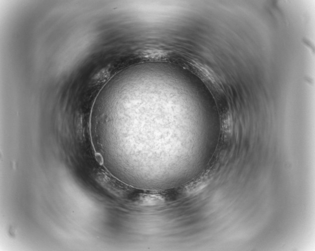 X0000093730572200710301046