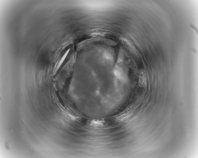 X0000093730573200710301046