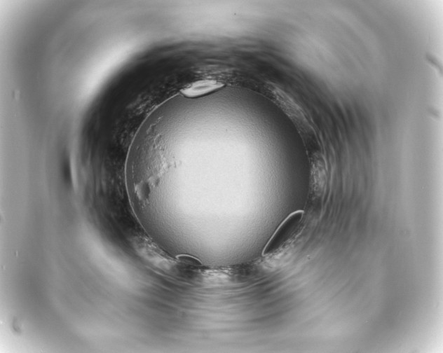 X0000093730574200710301046