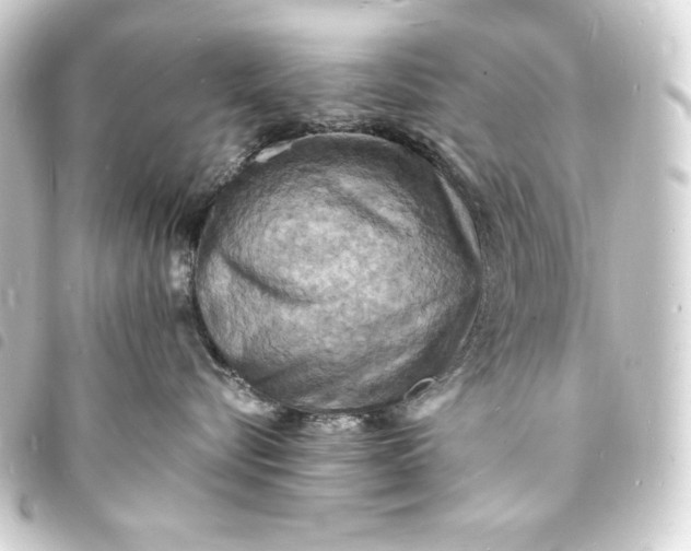 X0000093730576200710301046