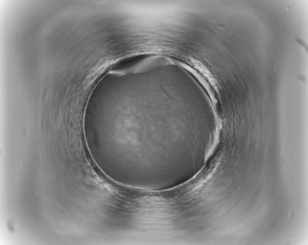 X0000093730577200710301046