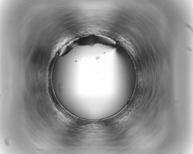 X0000093730578200710301046