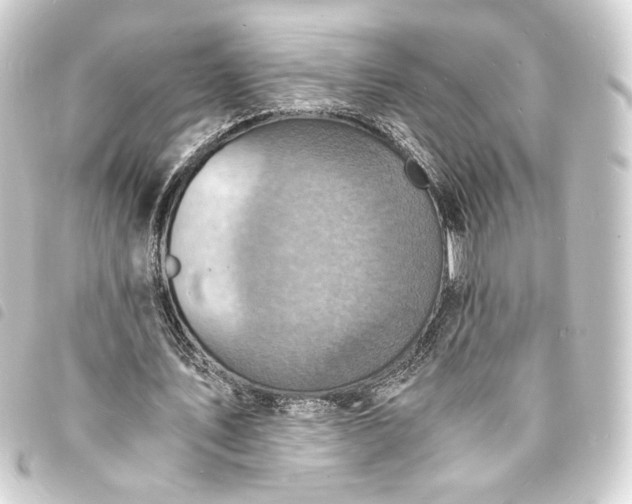 X0000093730579200710301046