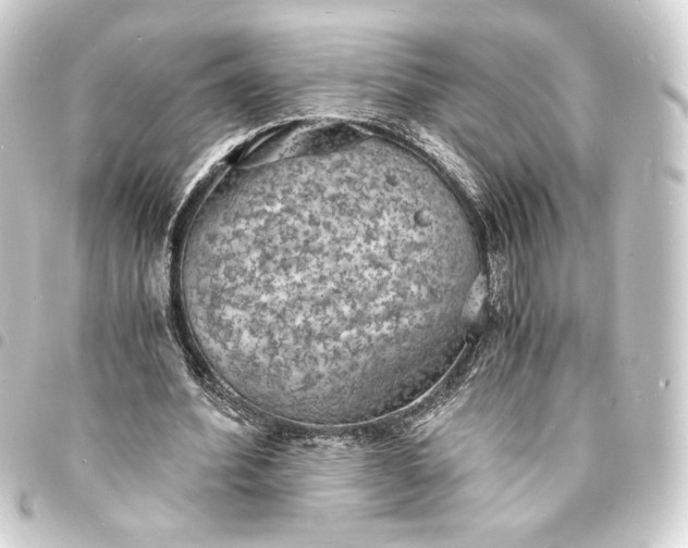 X0000093730580200710301046