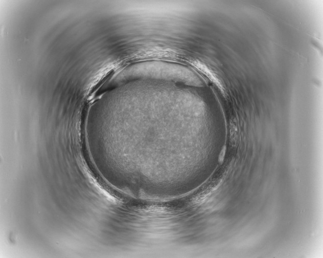 X0000093730581200710301045