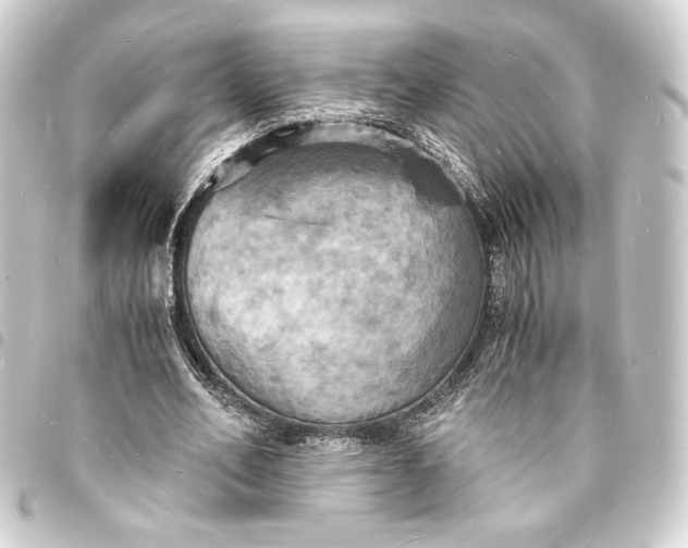 X0000093730582200710301045