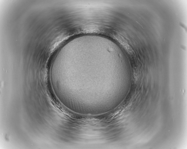 X0000093730583200710301045