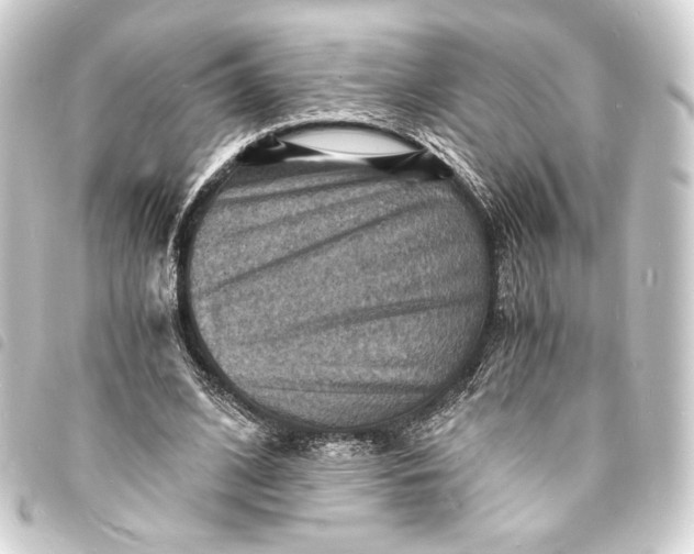 X0000093730584200710301045