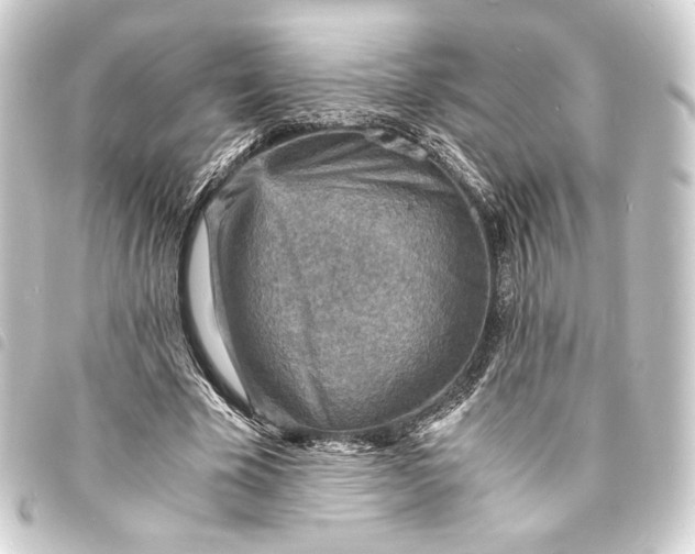 X0000093730585200710301045