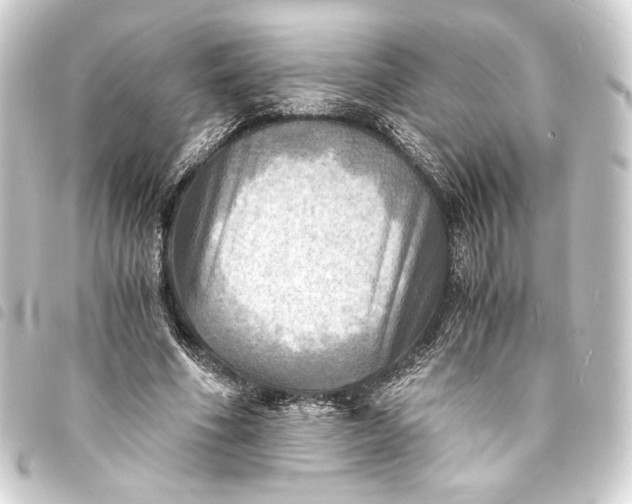 X0000093730586200710301045