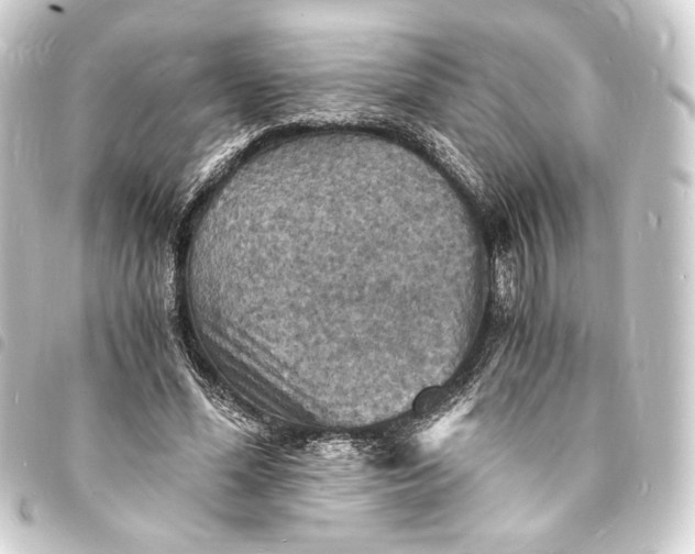 X0000093730588200710301045