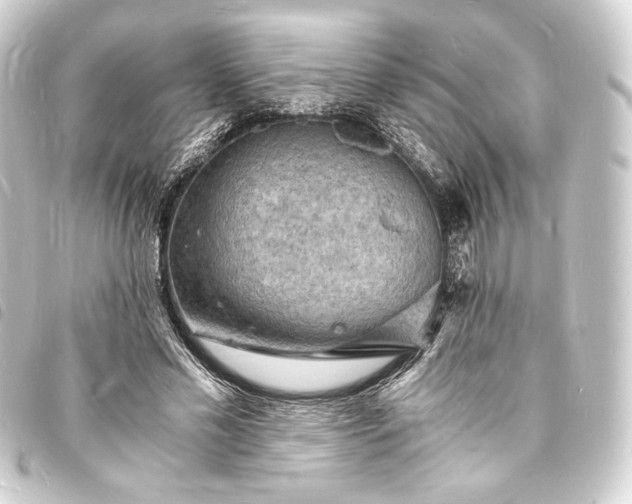 X0000093730589200710301045