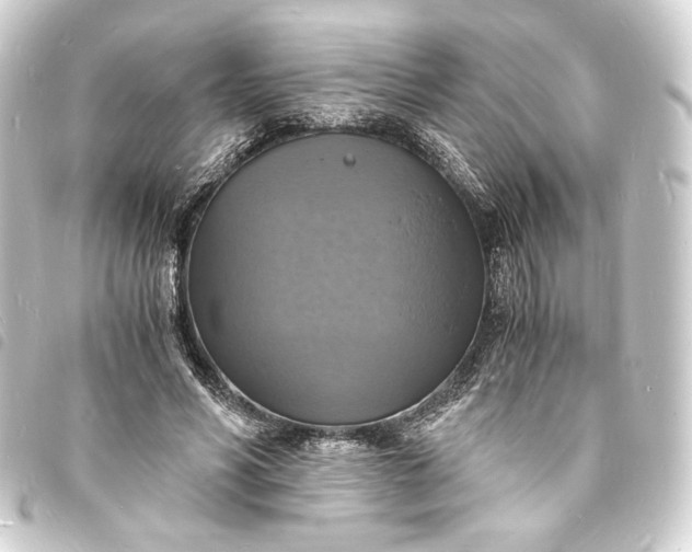 X0000093730590200710301045